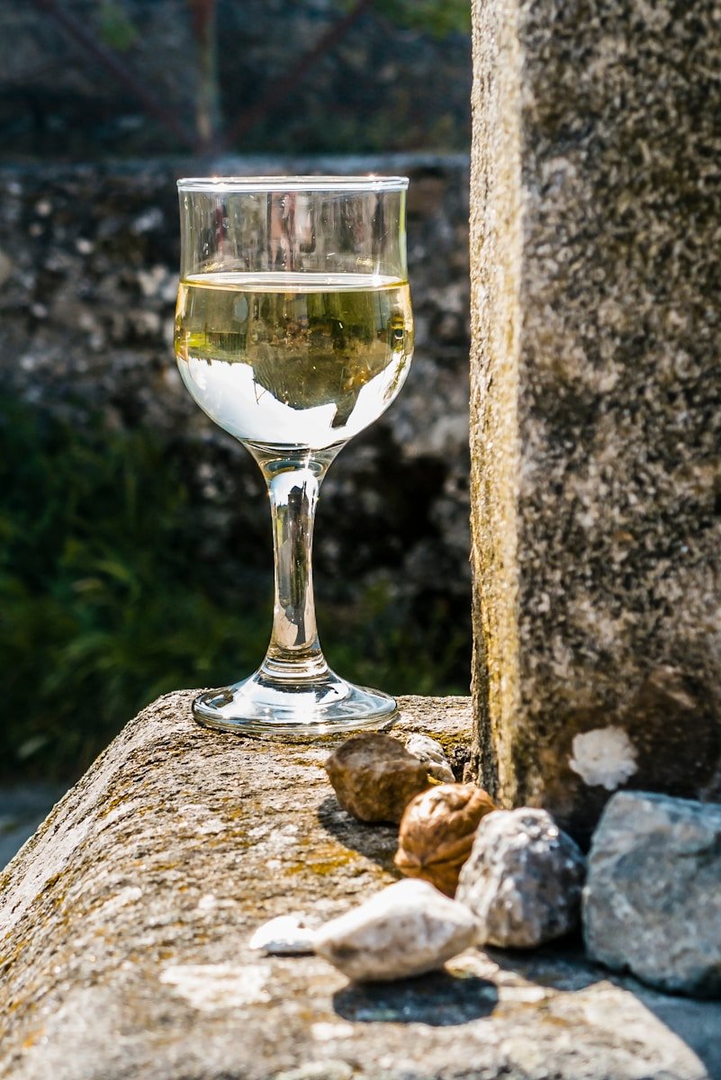 seo local para restaurantes en lugo -clear wine glass on brown rock
