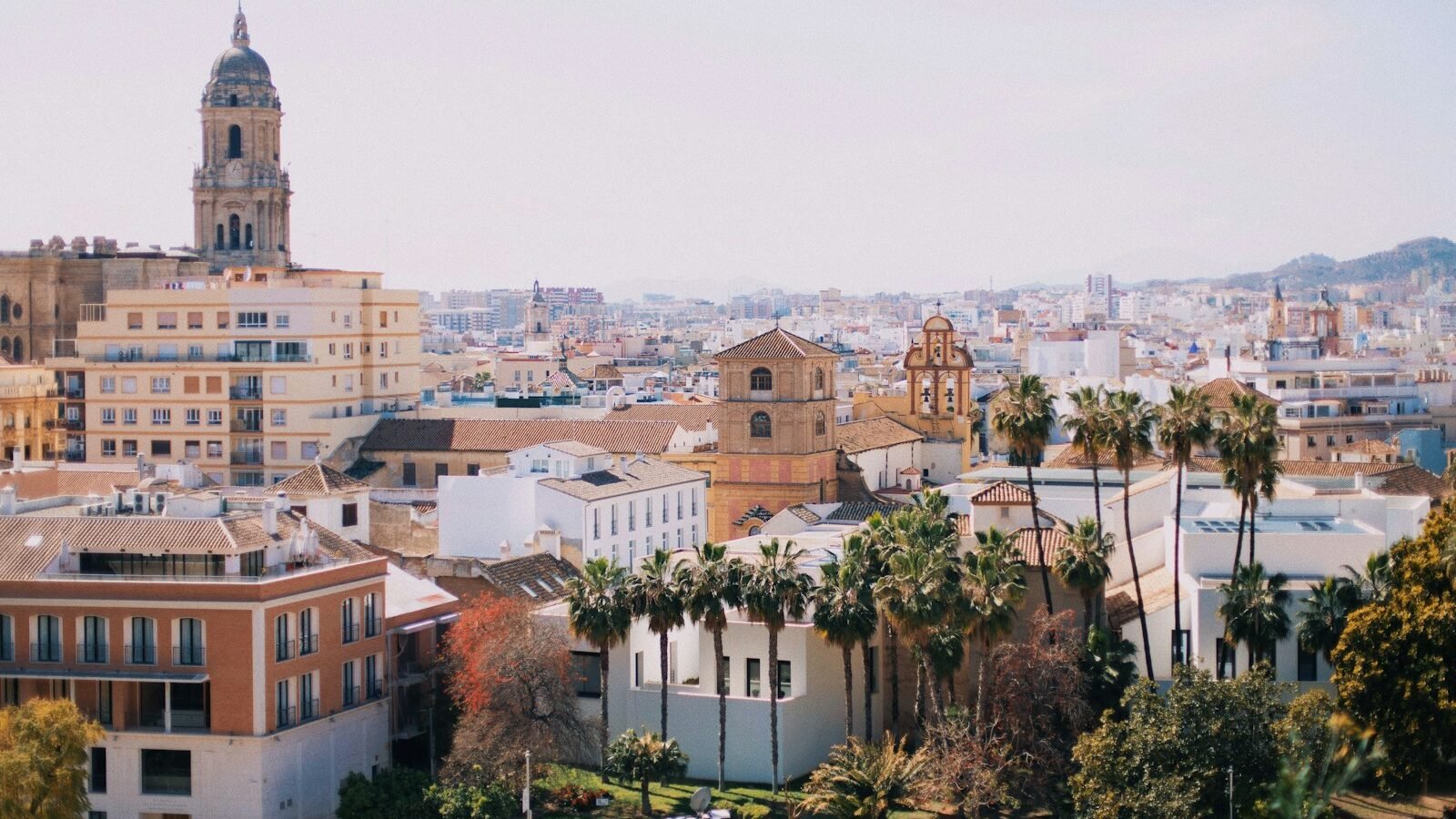 planes de seo local para restaurantes en Málaga - brown building